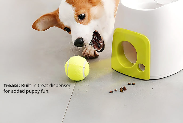 Smart Automatic Ball & Treat Dispenser for Pets – Interactive Toy with Timer & Remote Control
