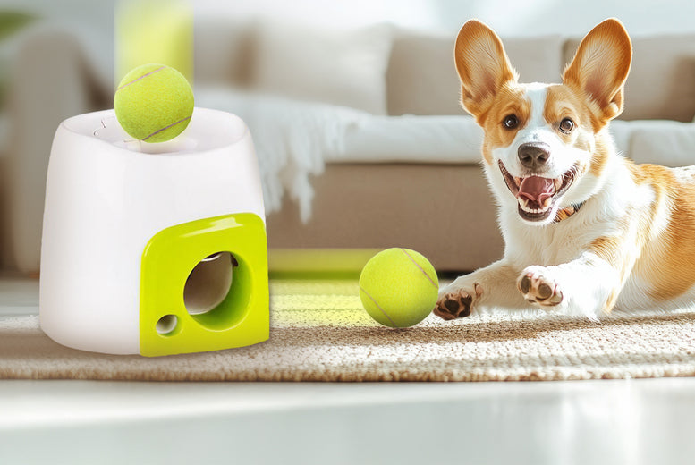 Smart Automatic Ball & Treat Dispenser for Pets – Interactive Toy with Timer & Remote Control