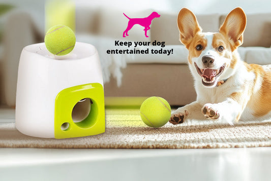 Smart Automatic Ball & Treat Dispenser for Pets – Interactive Toy with Timer & Remote Control